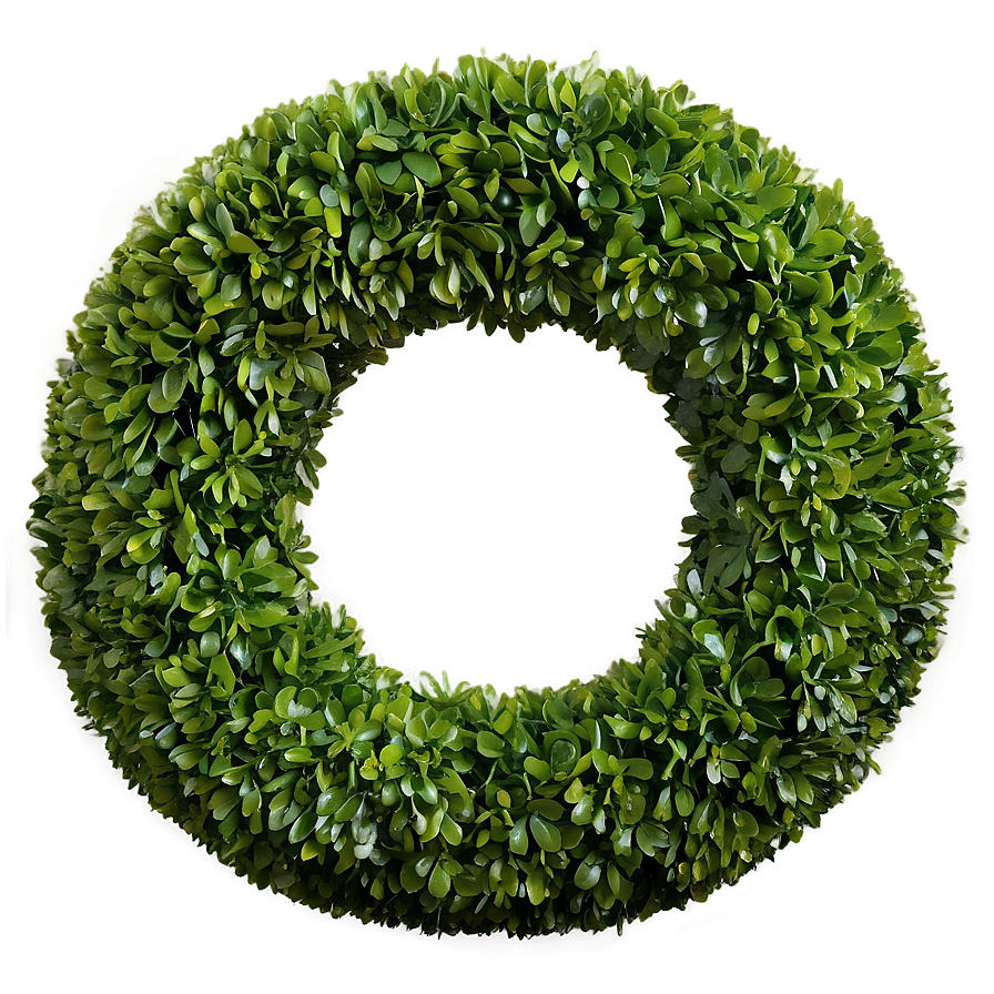 Boxwood Ball Png Iyn39