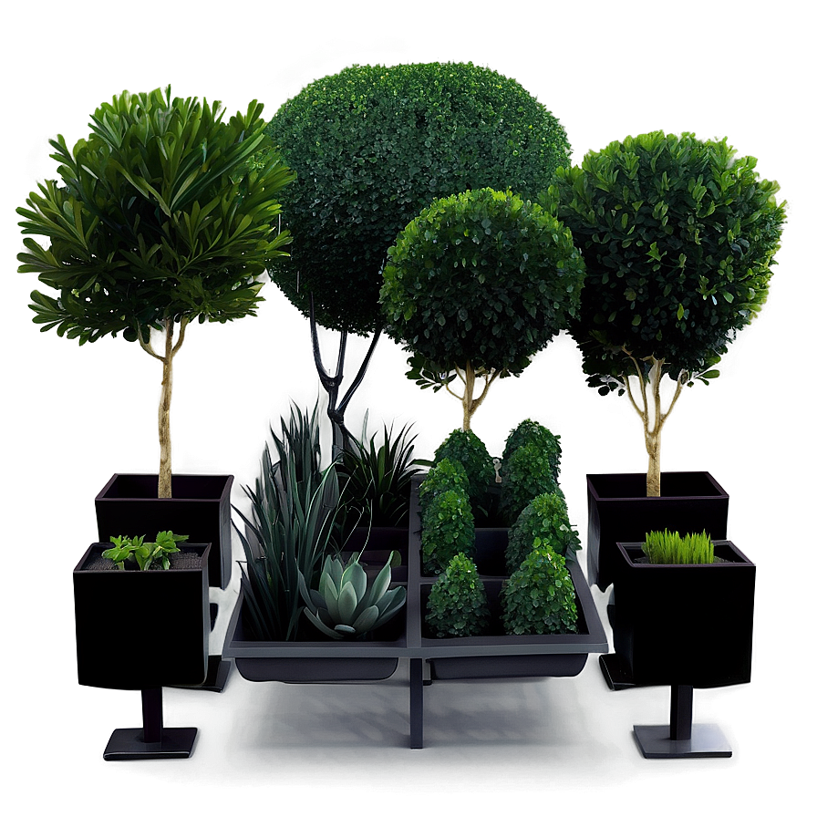 Boxwood Collection Png 06212024