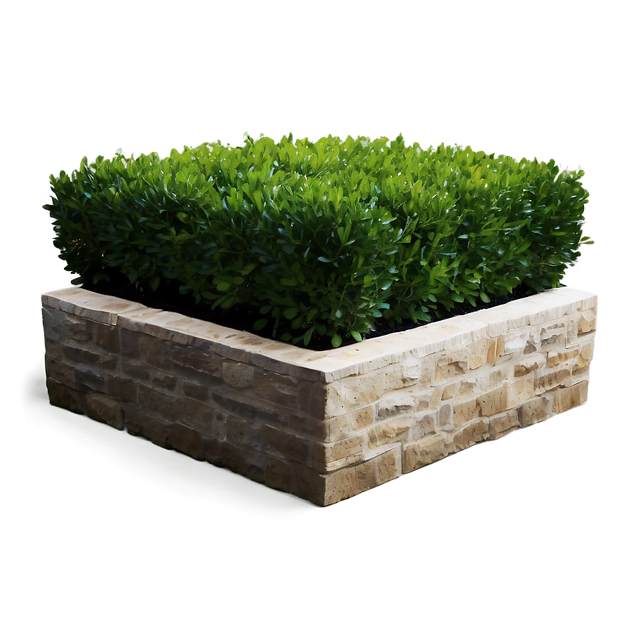 Boxwood Corner Png Crk