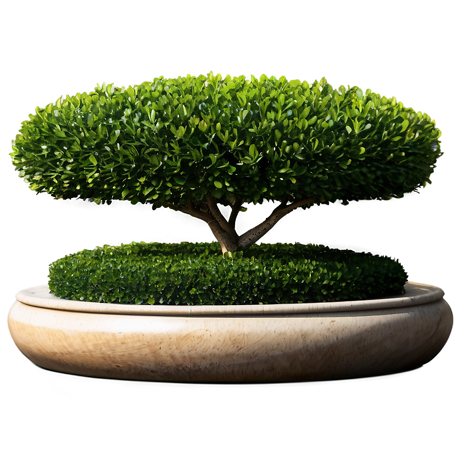 Boxwood Landscape Png Blr