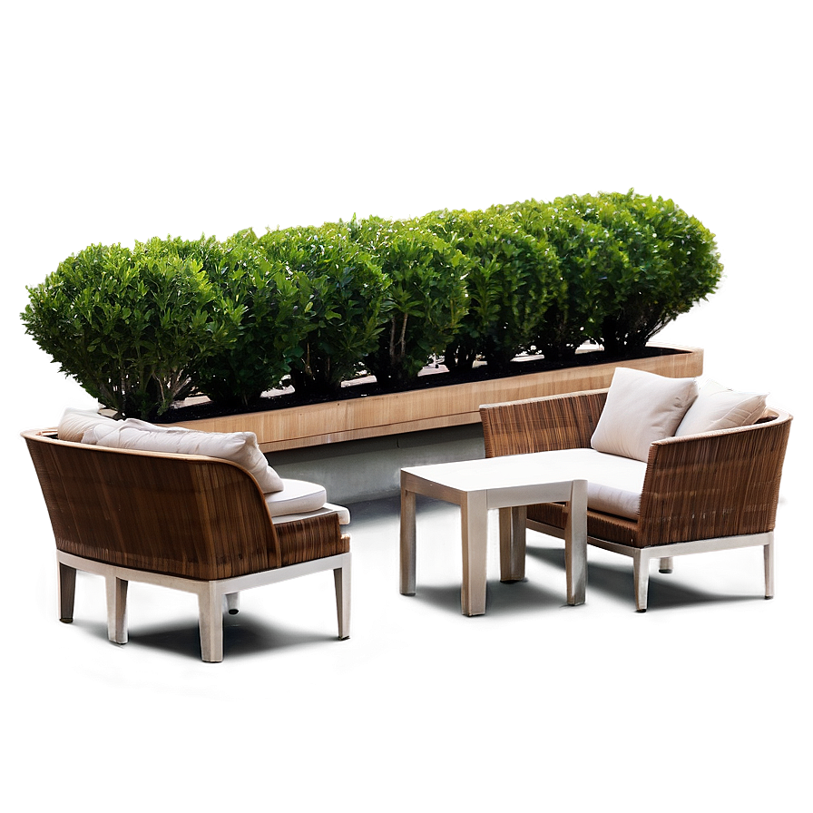 Boxwood On Terrace Png 06212024