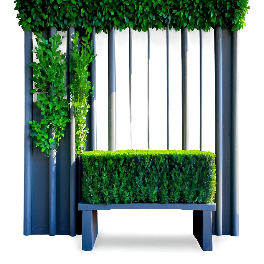 Boxwood Privacy Screen Png 06212024