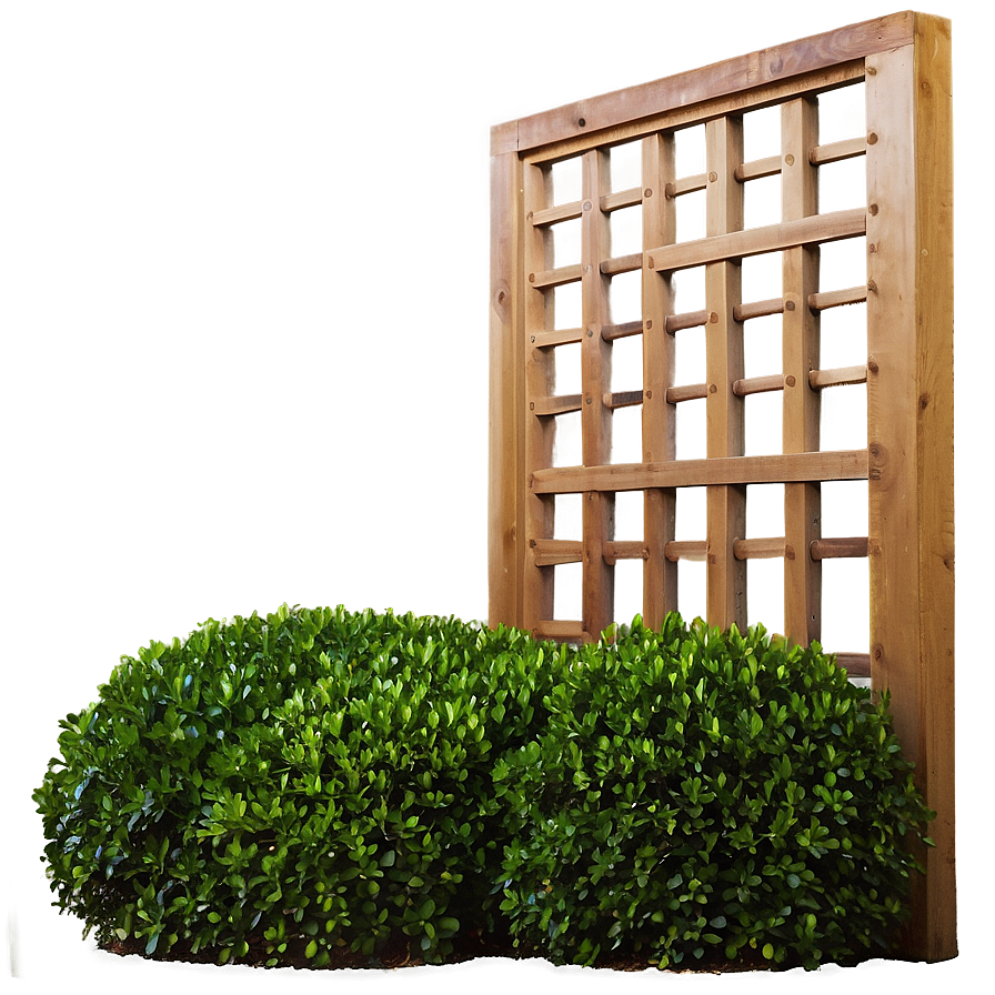 Boxwood Screen Png Wkq