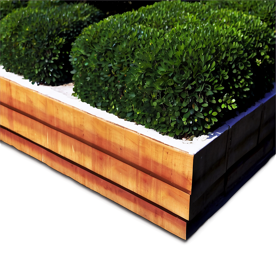 Boxwood Wall Png Yar93