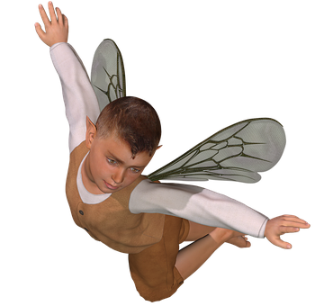 Boy_with_ Fairy_ Wings