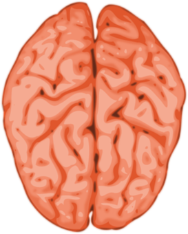 Brain Illustration Abstract