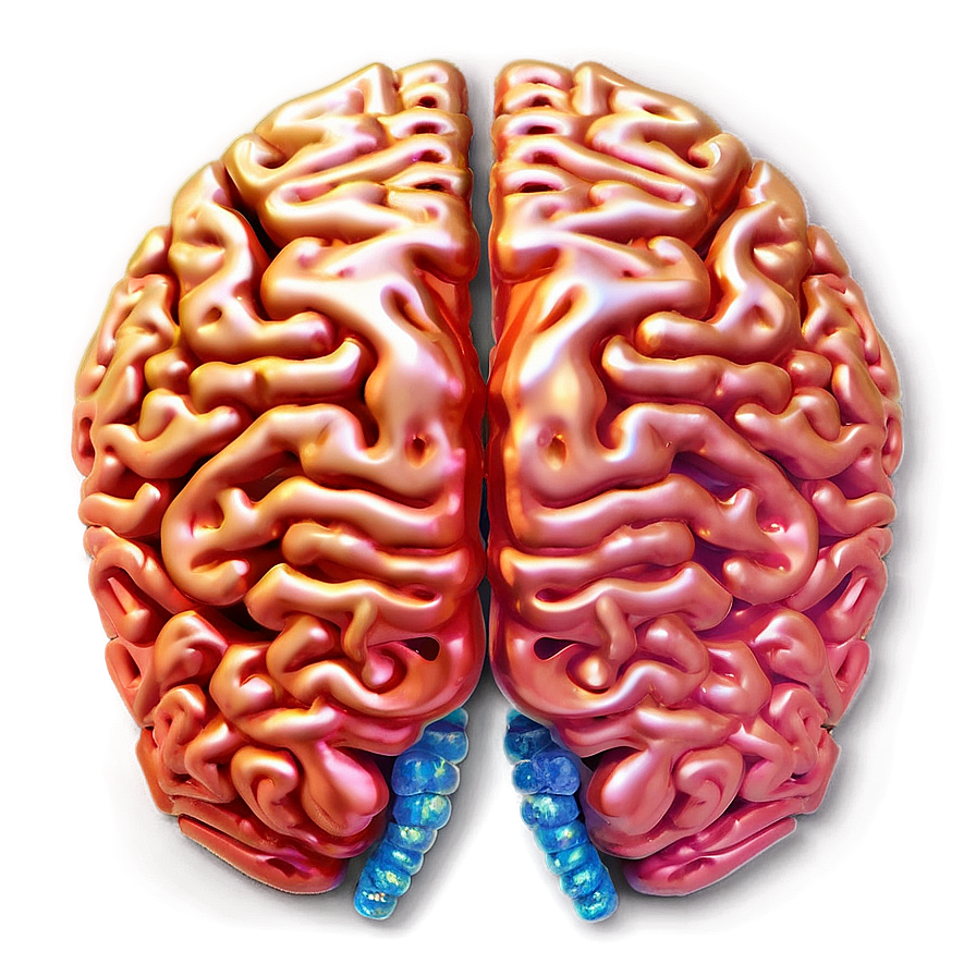 Brain In Light Png 04292024