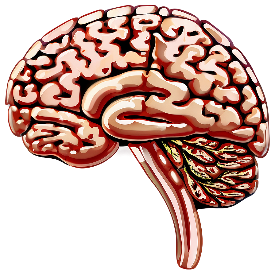 Brain Outline Clipart Png Hvx