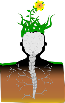 Brain Roots Flower Illustration