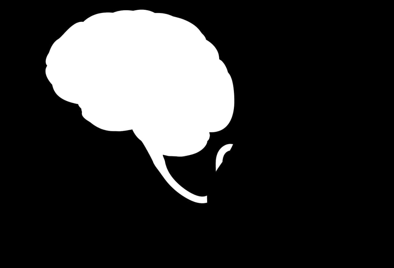 Brain Speech Bubble Silhouette