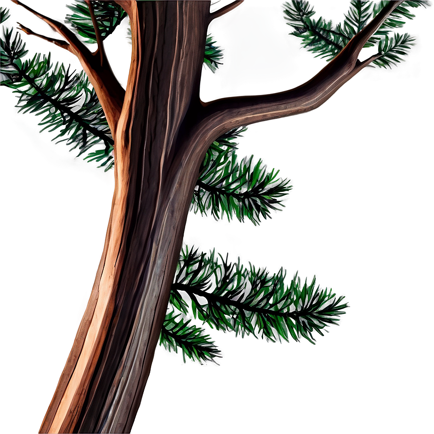 Branches Frame Png Uyg