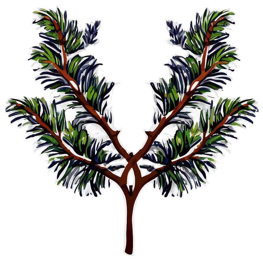 Branches Illustration Png 06272024