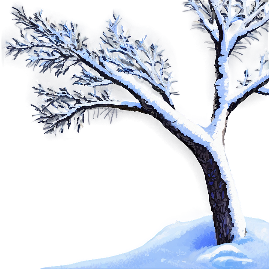 Branches With Snow Png 06272024