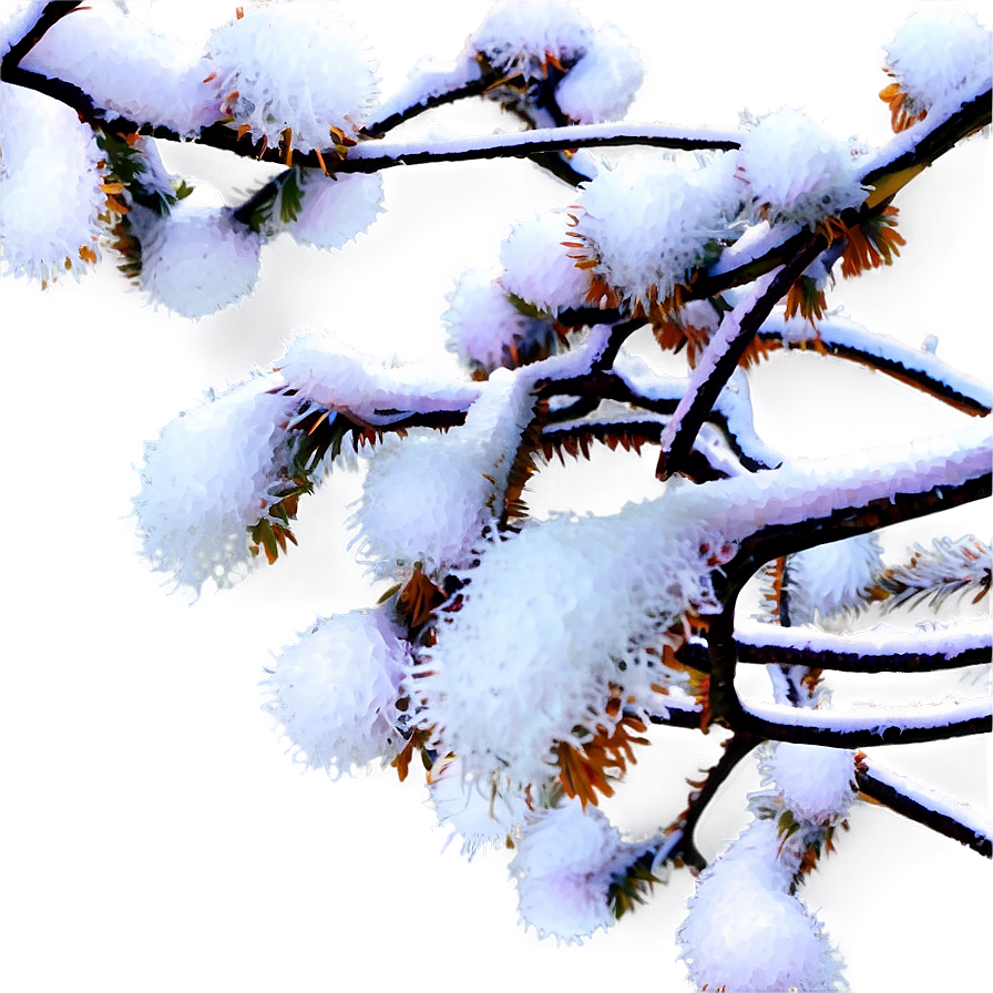 Branches With Snow Png Ixa62