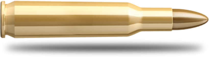 Brass Bullet Isolated