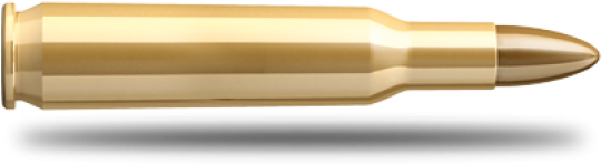 Brass Bullet Isolatedon White