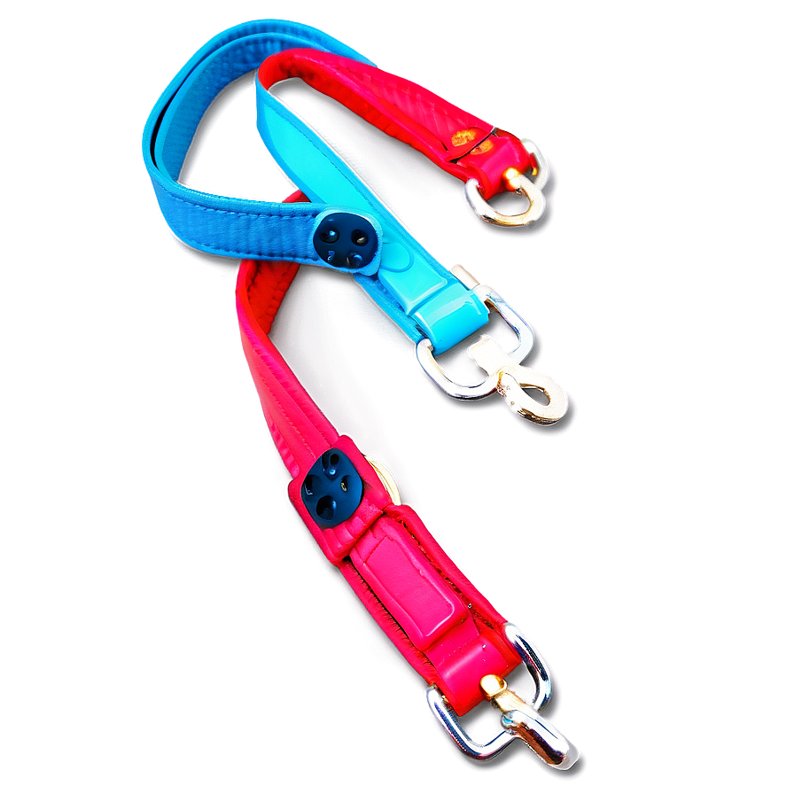 Bright Colored Dog Leash Png 06132024