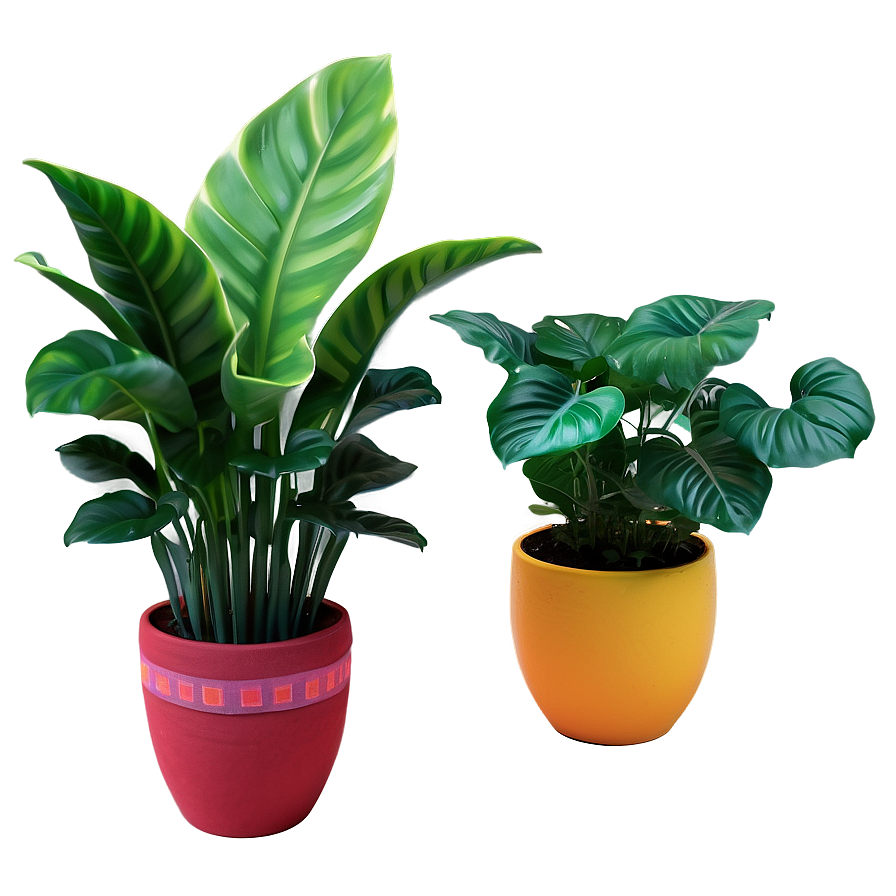 Bright Floor Plant Png Igv