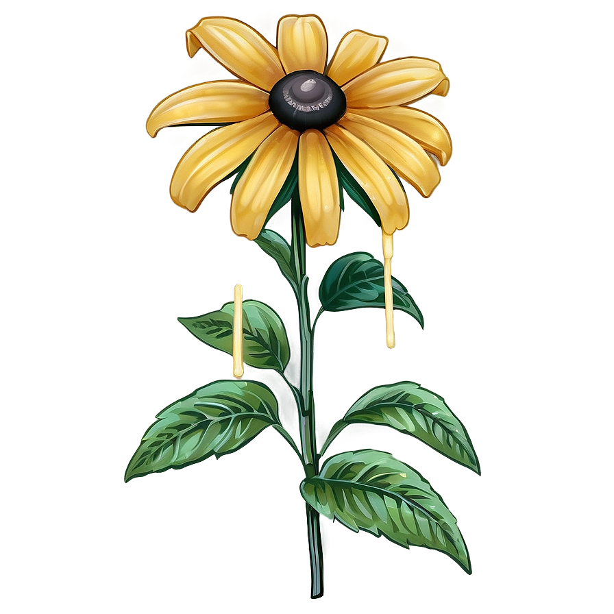 Bright Yellow Black Eyed Susan Png 18