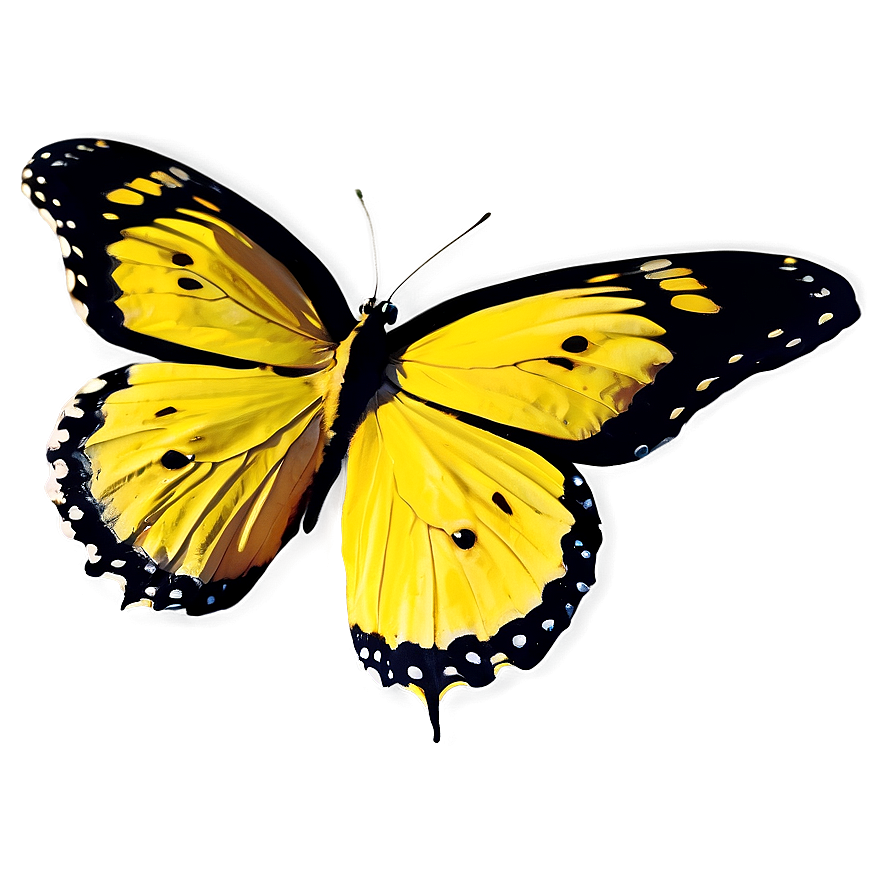 Bright Yellow Butterfly Png 68