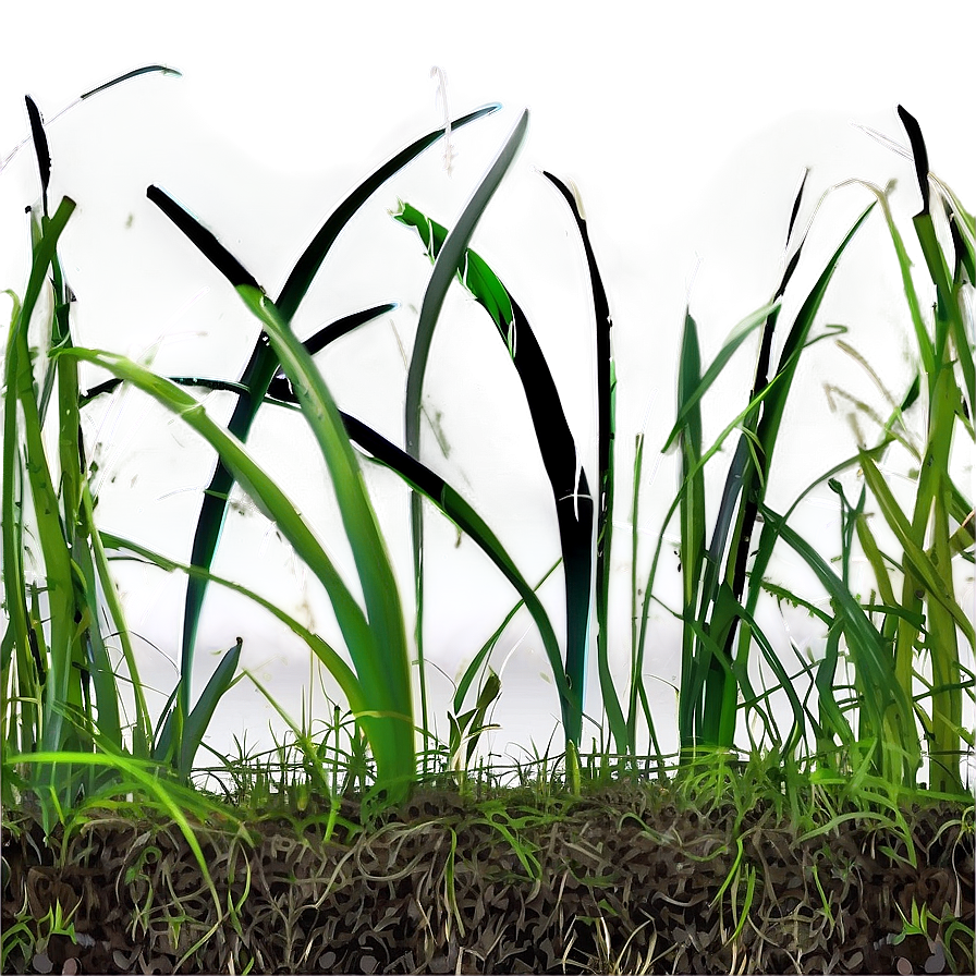 Brittle Dead Grass Png 28