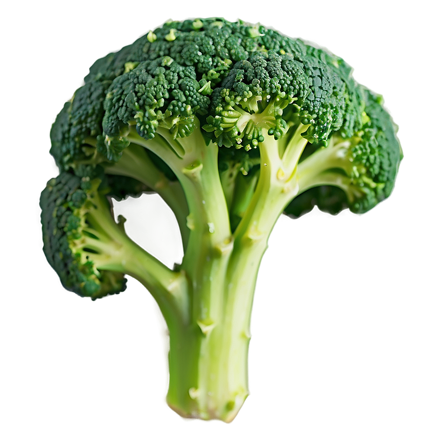 Broccoli Floret Close-up Png Ppb