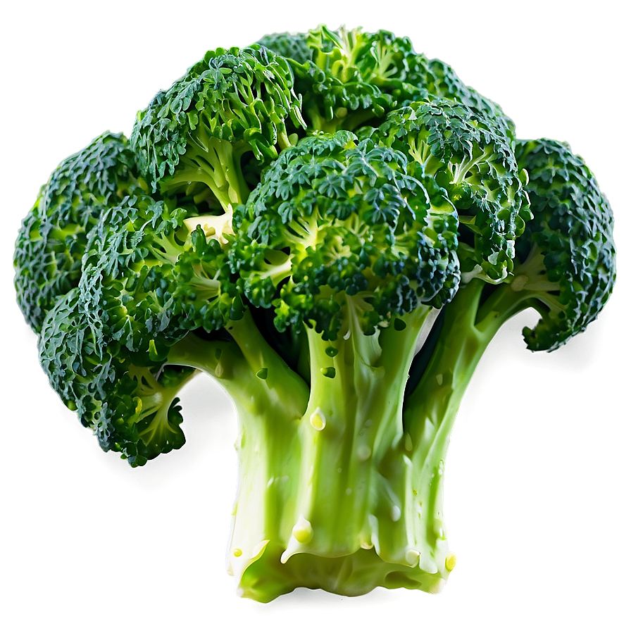 Broccoli Florets Png 05232024