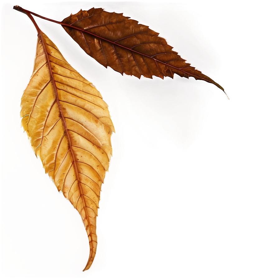 Brown Autumn Leaves Png Gqu