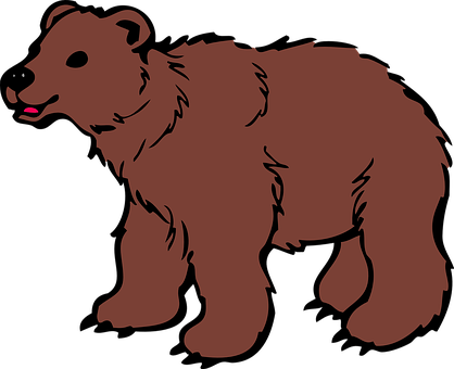 Brown Bear Illustration