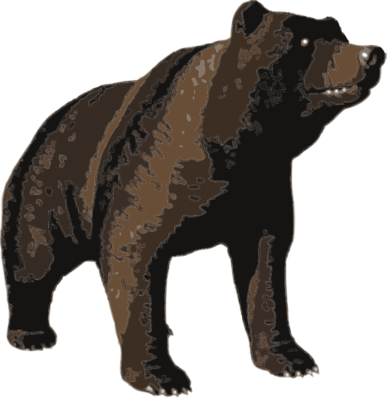 Brown Bear Illustration