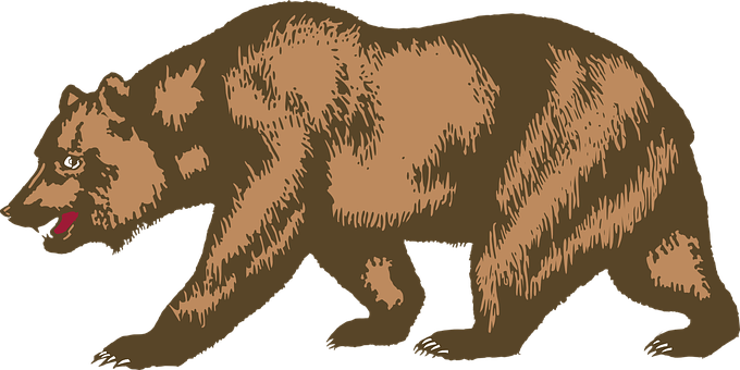 Brown Bear Illustration