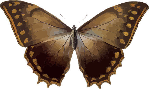 Brown Butterfly Illustration