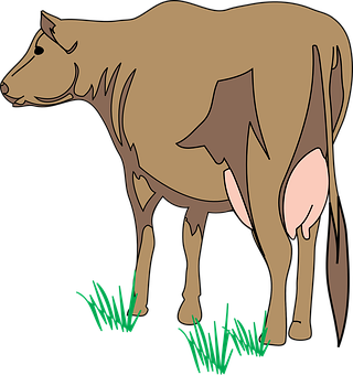 Brown Cow Illustration