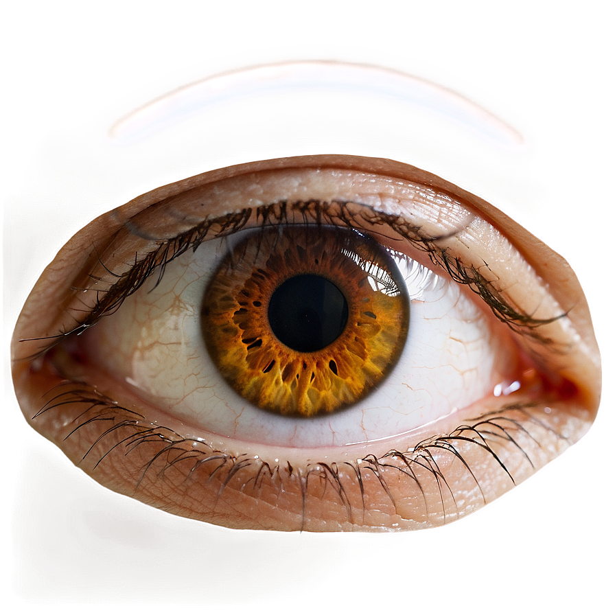 Brown Eye Transparent Png Cku68