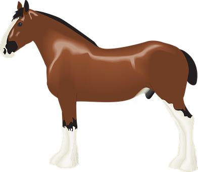 Brown Horse White Markings Vector