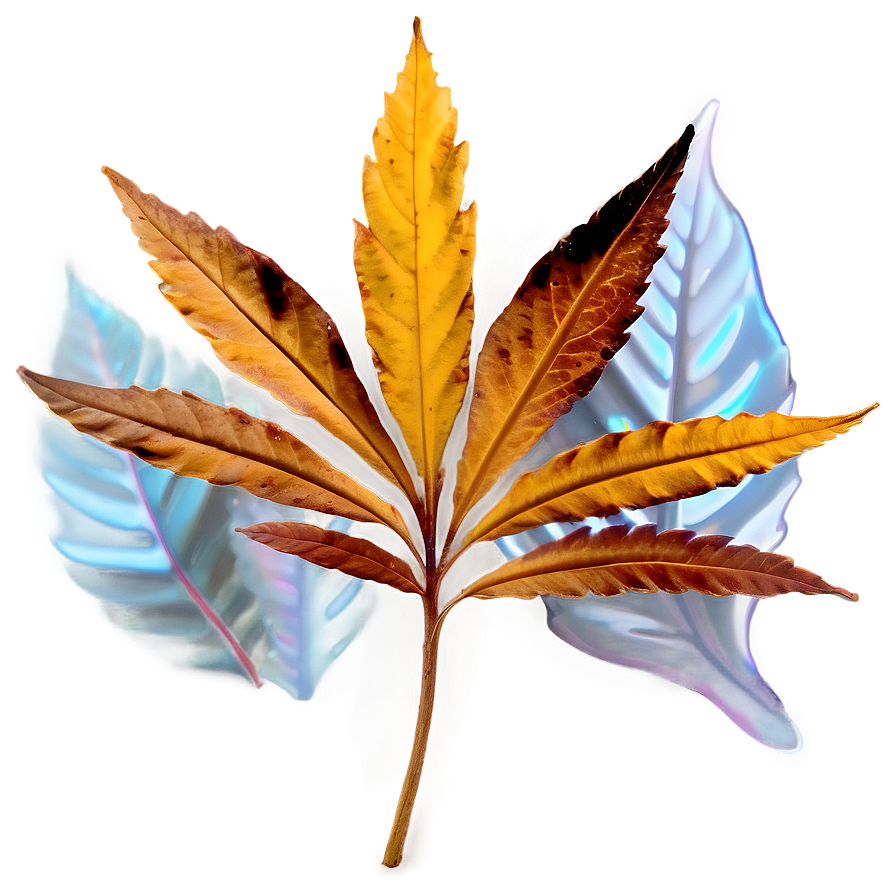 Brown Leaf Png Mhl