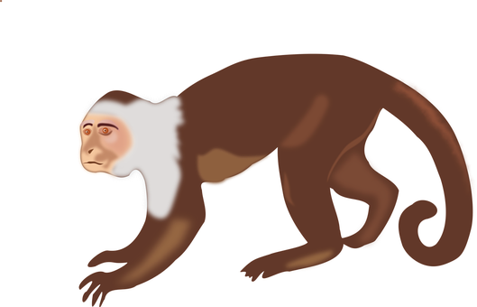 Brown Monkey Illustration