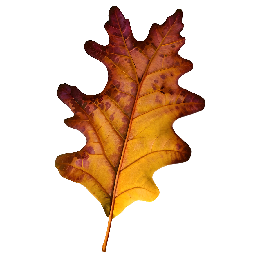 Brown Oak Leaf Fall Png 52