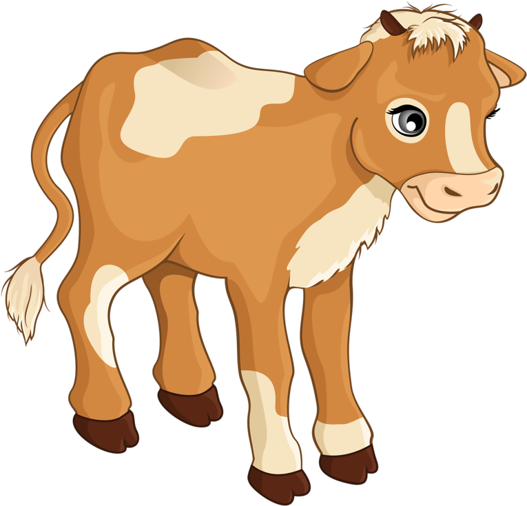 Brownand White Calf Illustration.png