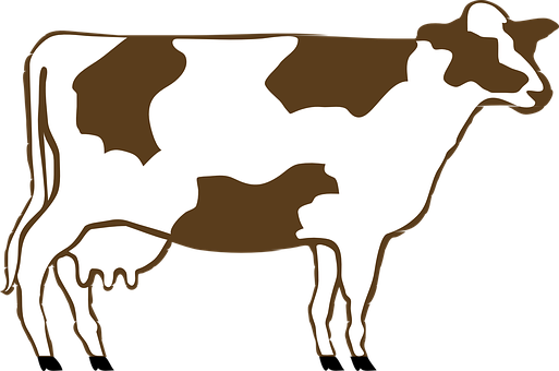 Brownand White Cow Illustration