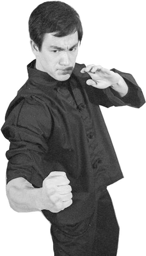 Bruce Lee Martial Arts Pose