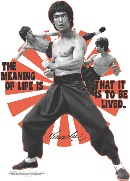 Bruce Lee Meaningof Life Poster