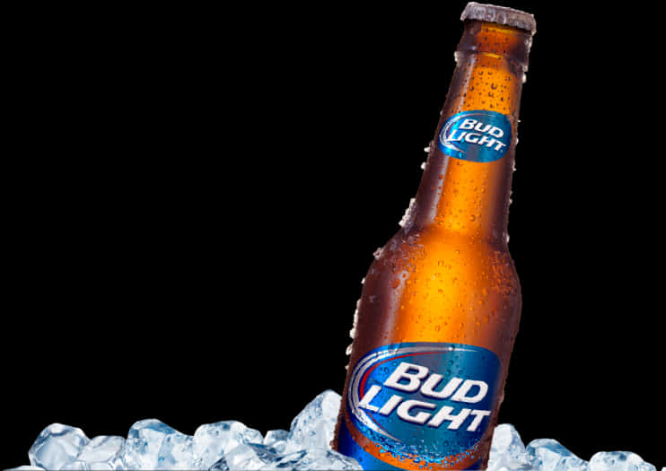 Bud Light Bottle Chilledon Ice