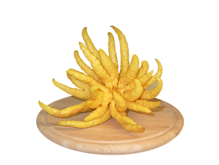 Buddha Hand Citron Fruit Sculpture