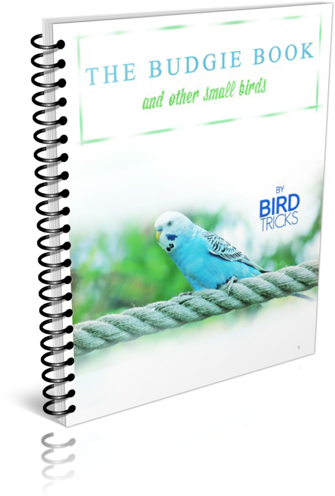 Budgie Book Cover Spiral Bound