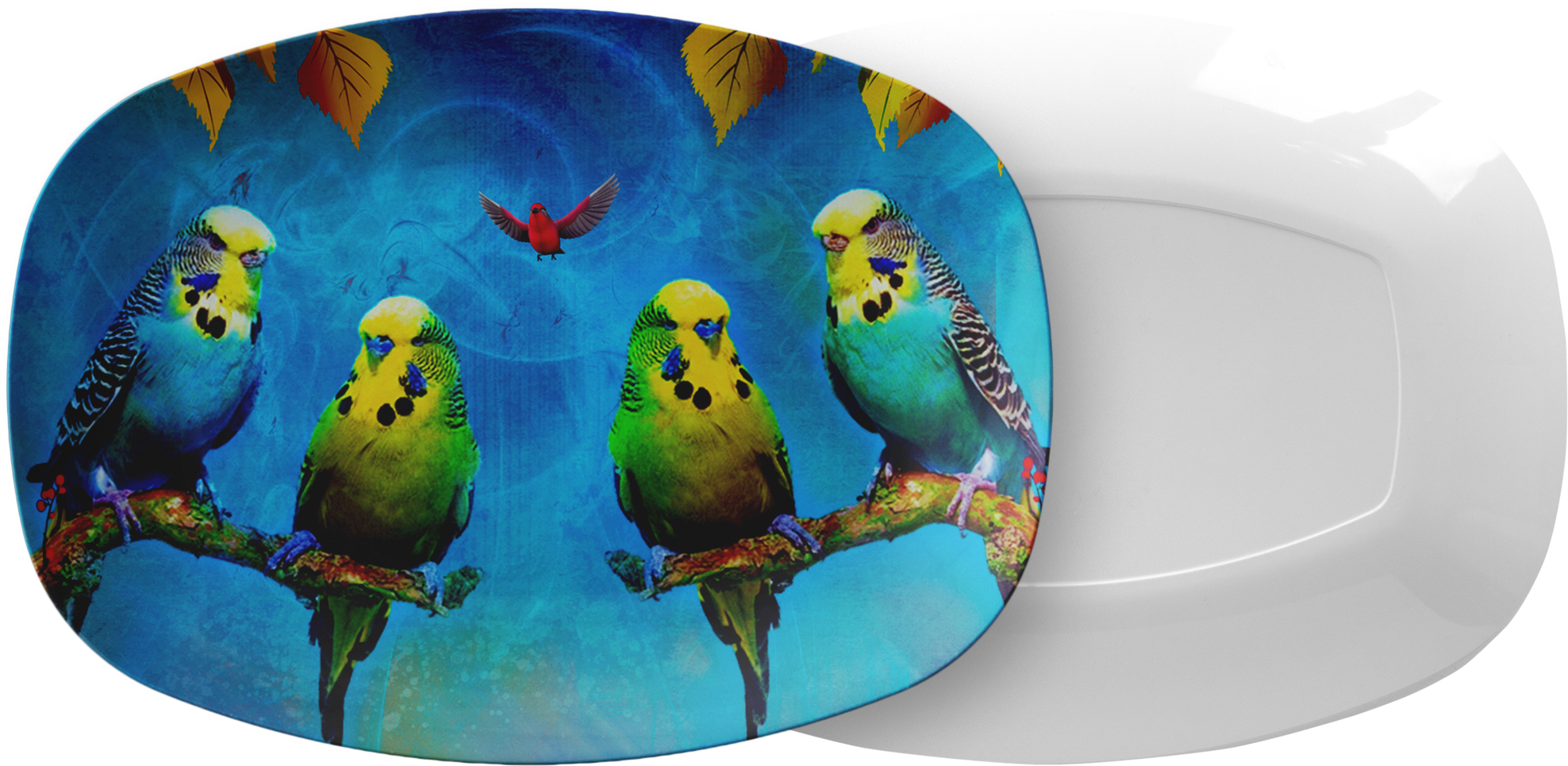 Budgie Decorated Ceramic Plate