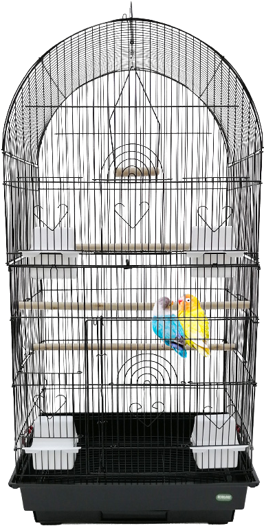 Budgiein Cage Home