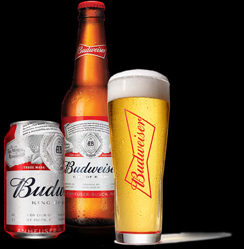 Budweiser Beer Bottle Can Glass