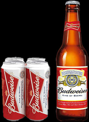 Budweiser Beer Bottleand Cans