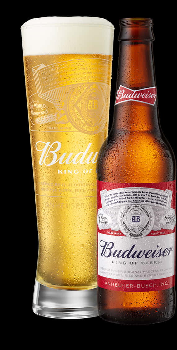 Budweiser Beer Bottleand Glass